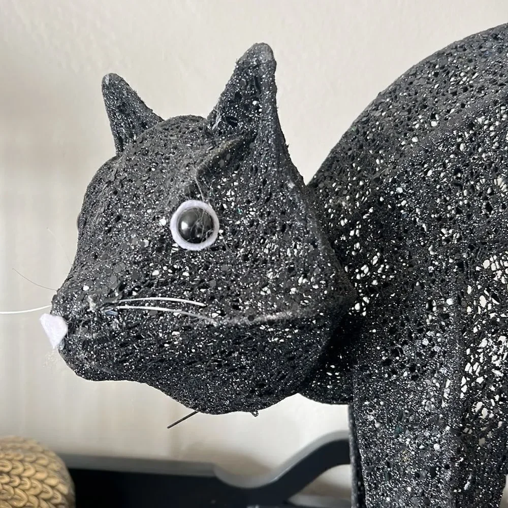 Pottery Barn Fiber Optic Cat